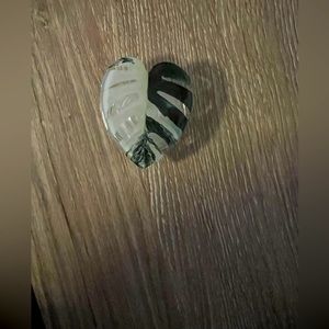 New Monstera albo plant pop socket